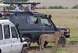 Close encounter in the crater